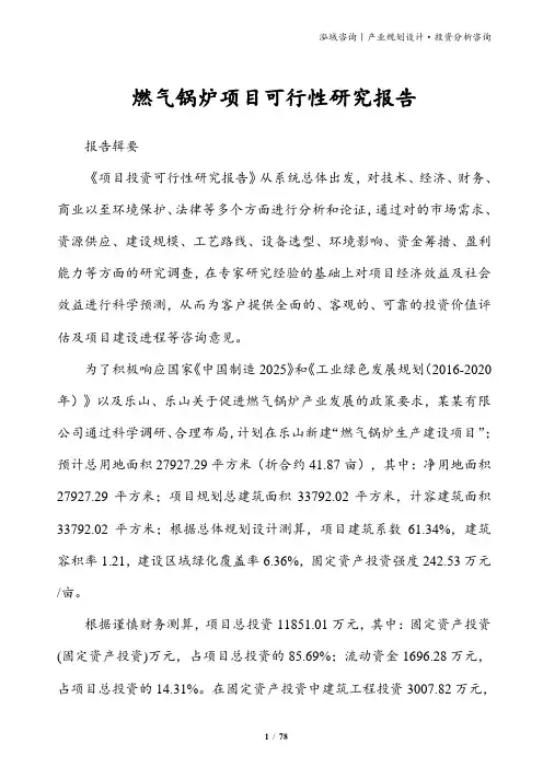 燃气锅炉项目可行性研究报告