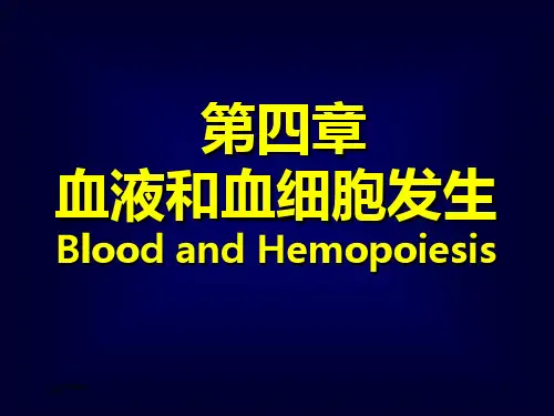 组织学与胚胎学课件血液