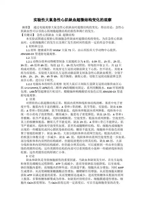 实验性大鼠急性心肌缺血超微结构变化的观察