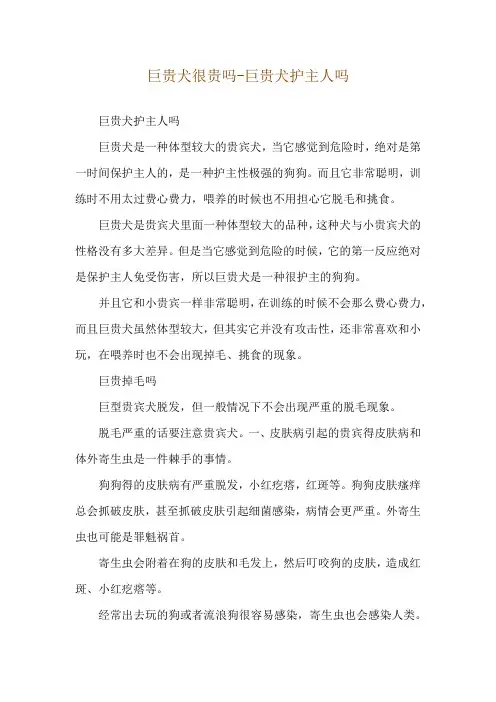巨贵犬很贵吗-巨贵犬护主人吗