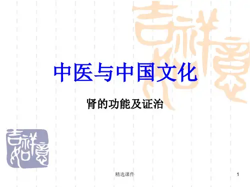 中医基础理论肾课件
