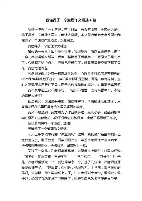 我懂得了一个道理作文精选4篇