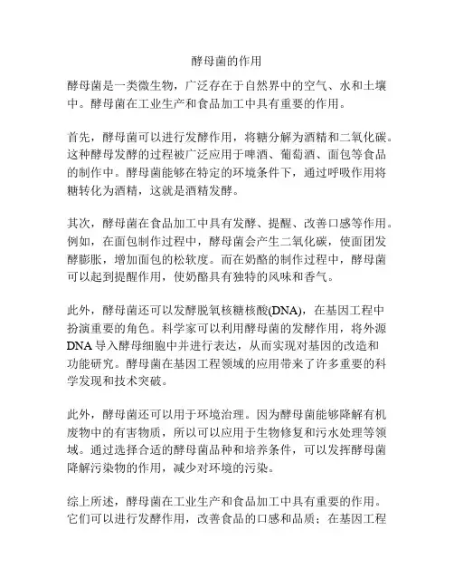 酵母菌的作用
