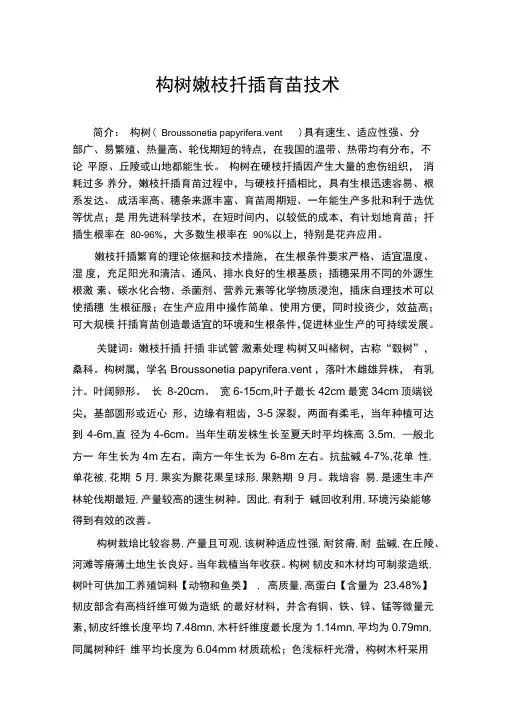 构树嫩枝扦插育苗技术1分析解析