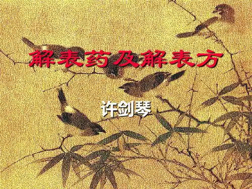《解表药及解表方》
