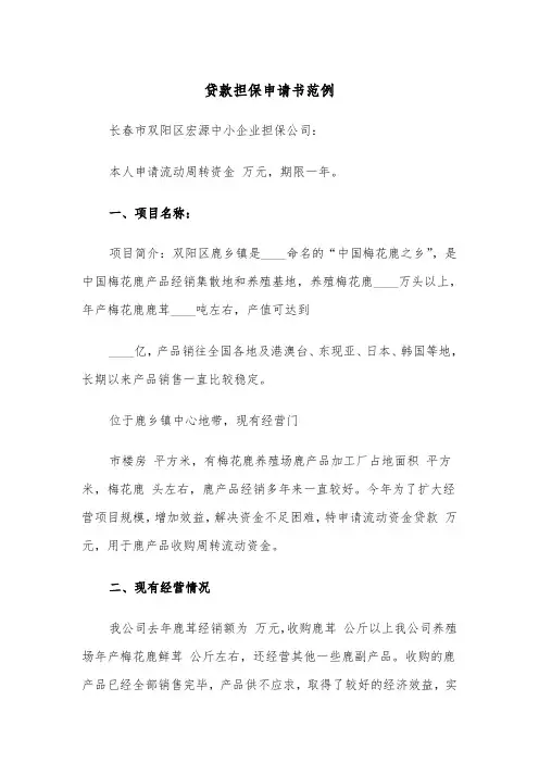 贷款担保申请书范例（三篇）