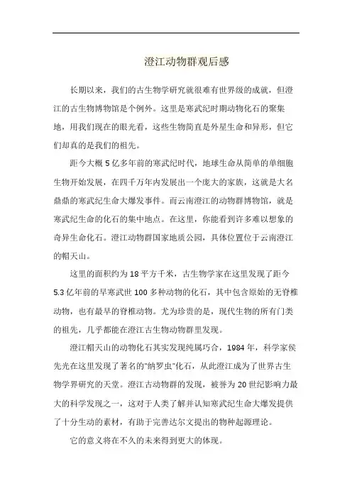 澄江动物群观后感