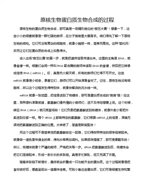 原核生物蛋白质生物合成的过程