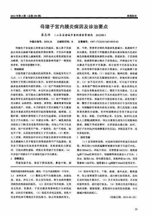 母猪子宫内膜炎病因及诊治要点