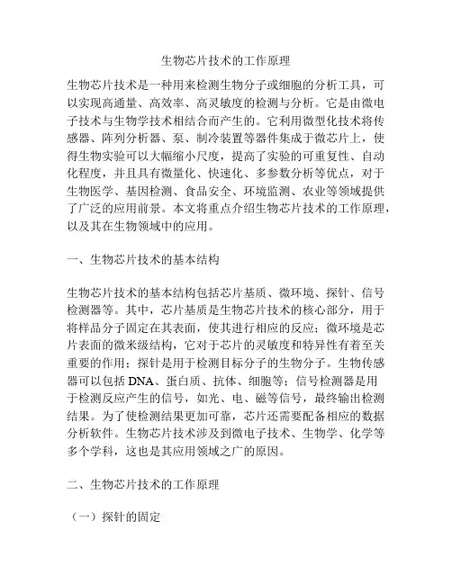 生物芯片技术的工作原理