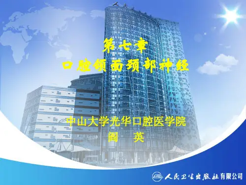 口腔解剖生理学 第7-8章 口腔颌面颈部神经和面颈部血管