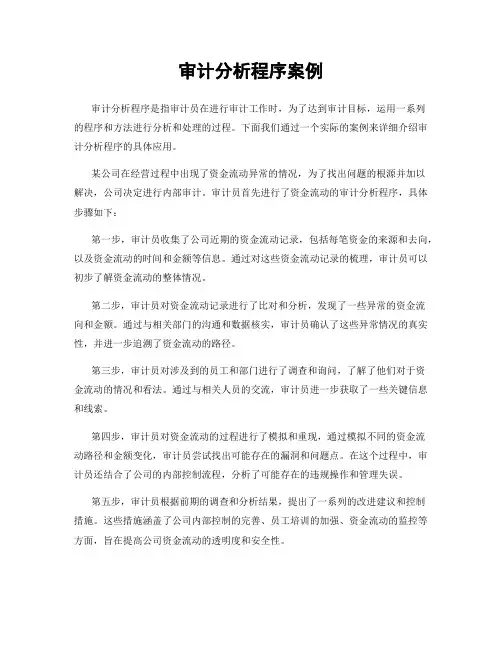 审计分析程序案例