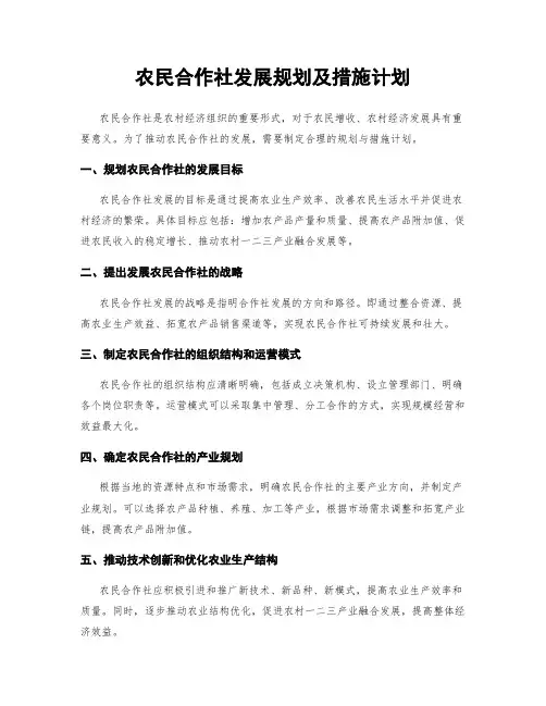 农民合作社发展规划及措施计划