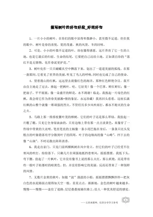 描写树叶的好句好段-好词好句