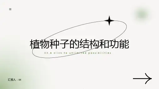 植物的种子结构和功能
