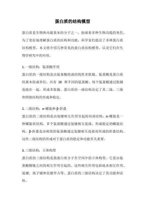 蛋白质的结构模型