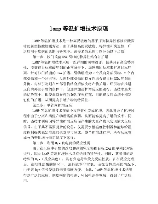 lamp等温扩增技术原理