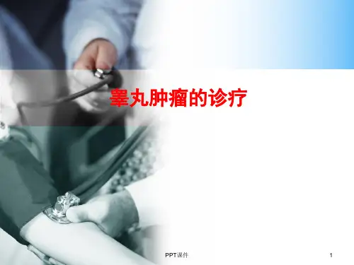 睾丸肿瘤  ppt课件