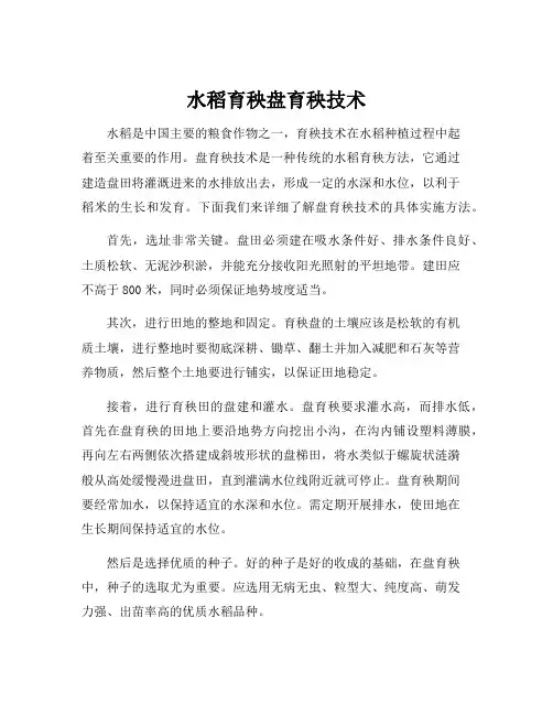 水稻育秧盘育秧技术