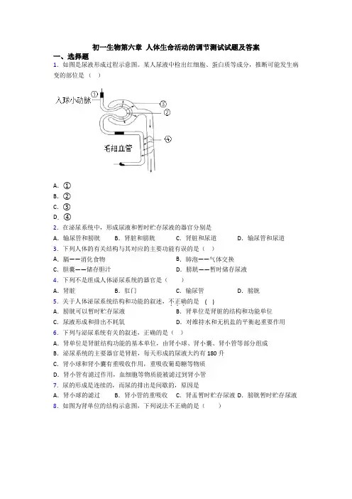 初一生物第六章 人体生命活动的调节测试试题及答案