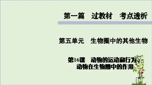 人教版七年级上册生物知识点精讲课件动物的运动和行为