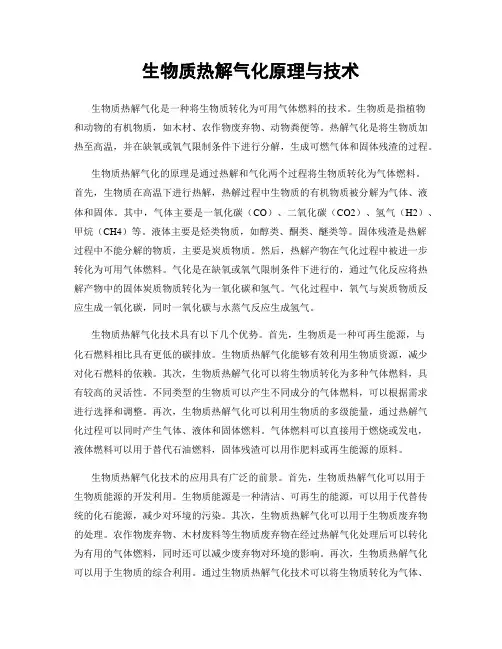 生物质热解气化原理与技术