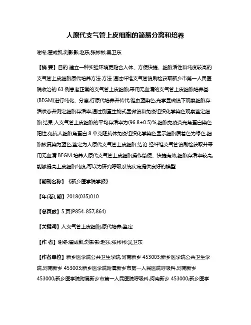 人原代支气管上皮细胞的简易分离和培养