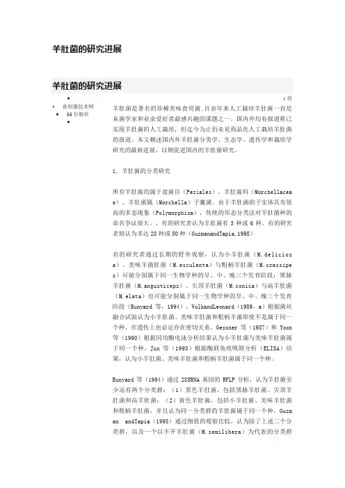 羊肚菌的研究进展