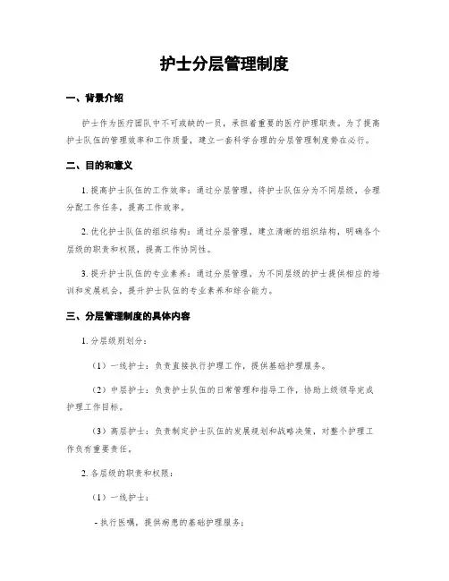 护士分层管理制度