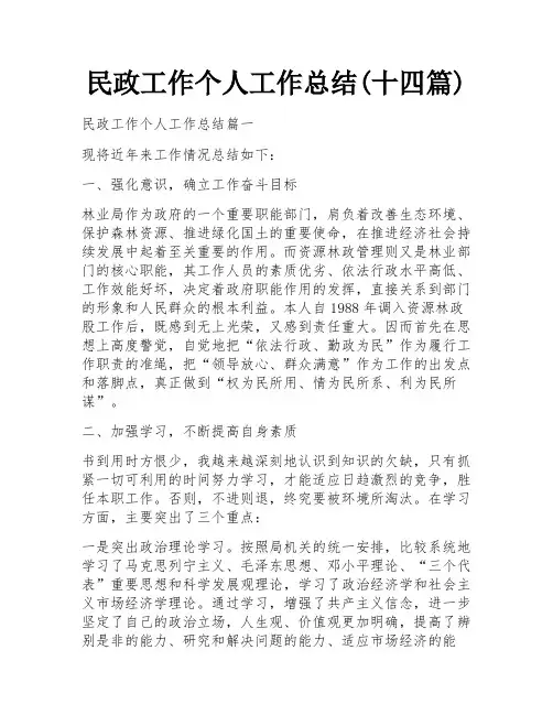 民政工作个人工作总结(十四篇)