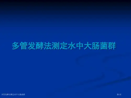 多管发酵法测定水中大肠菌群