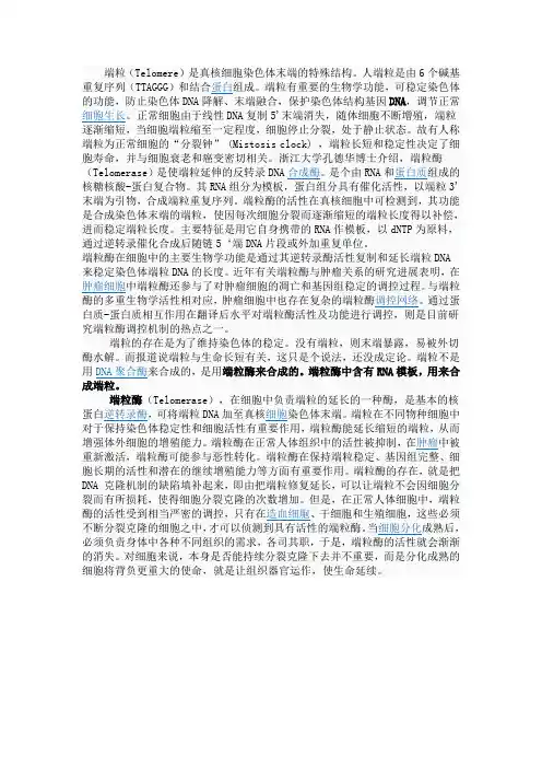端粒