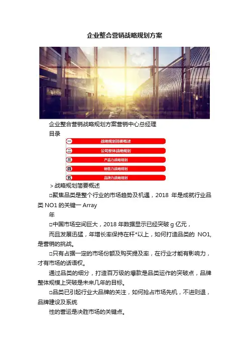 企业整合营销战略规划方案