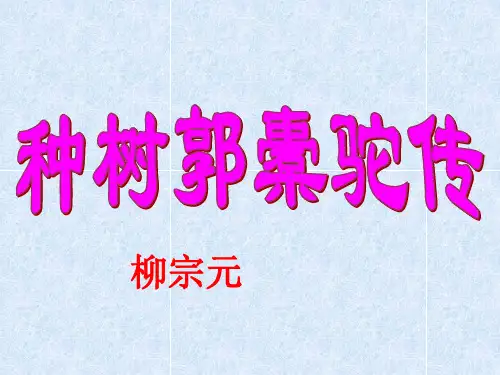 种树郭橐驼传课件(上课用)