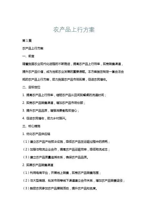 农产品上行方案