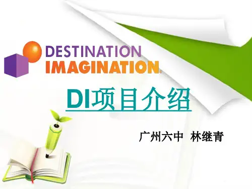 DI项目介绍