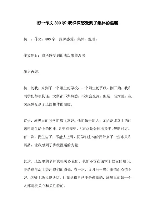 初一作文800字我深深感受到了集体的温暖