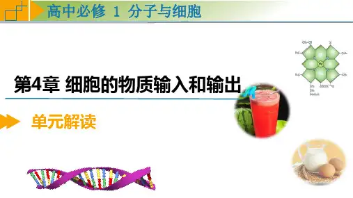 2024(人教版2019必修1)生物 第四单元  教材解读课件