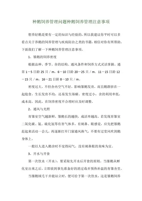 种鹅饲养管理问题 种鹅饲养管理注意事项