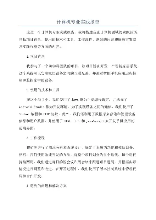 计算机专业实践报告