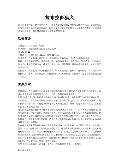 拉布拉多猎犬