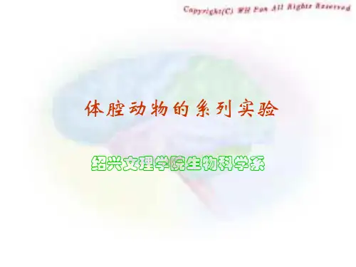 原创实验版!涡虫、蛔虫环毛蚓比较