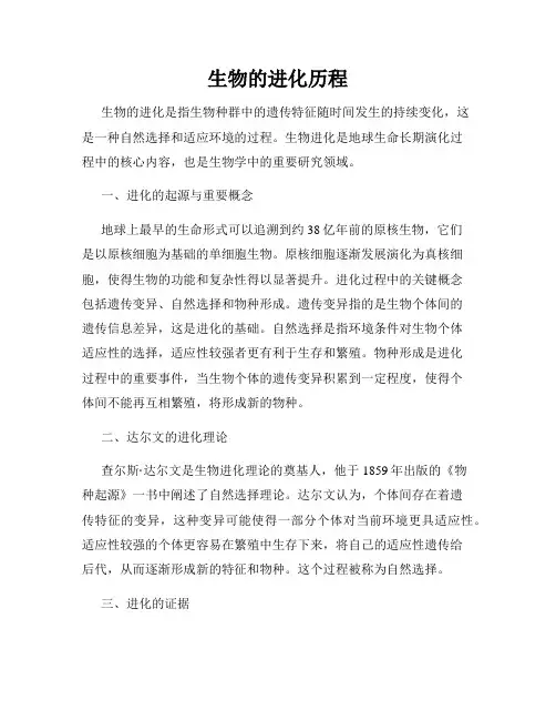 生物的进化历程