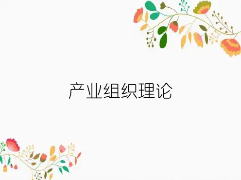 产业组织理论