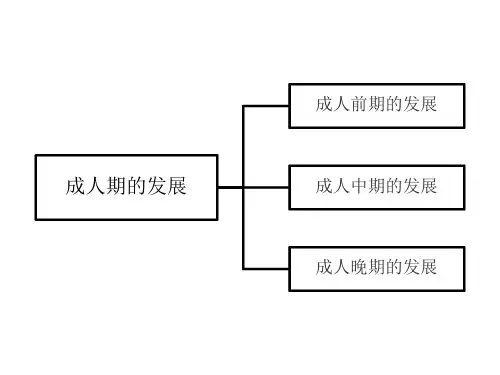 发展心理学林崇德 成人期的发展