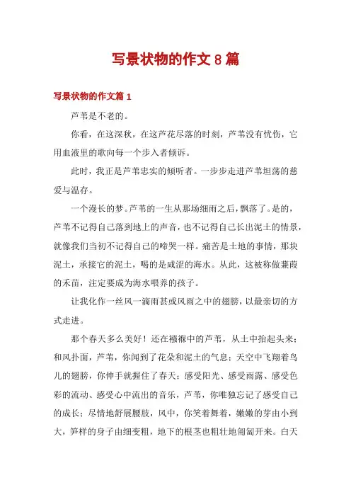 写景状物的作文8篇