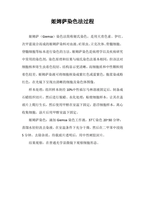 姬姆萨染色法过程