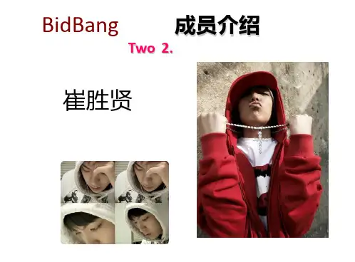 大爱 bigbang .3.