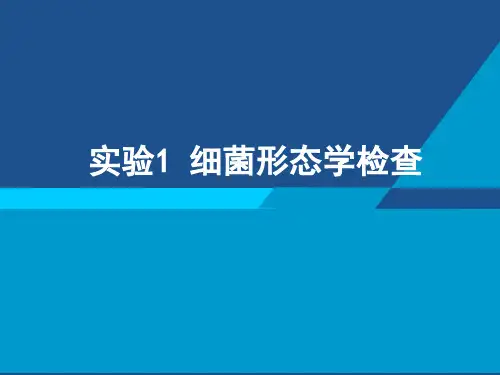 临床微生物学及检验