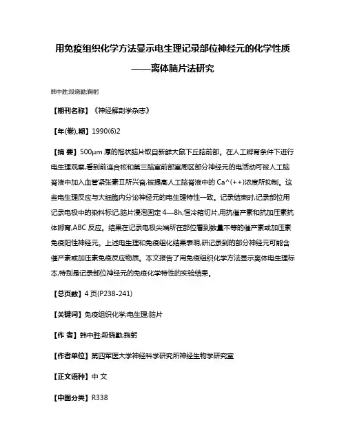 用免疫组织化学方法显示电生理记录部位神经元的化学性质——离体脑片法研究